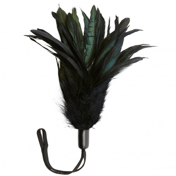 Sportsheets Forførelsesfjær  1