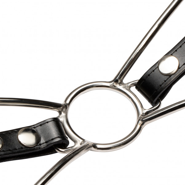 Cat Mouth Gag i Stål med Stropp  4