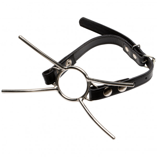 Cat Mouth Gag i Stål med Stropp  2