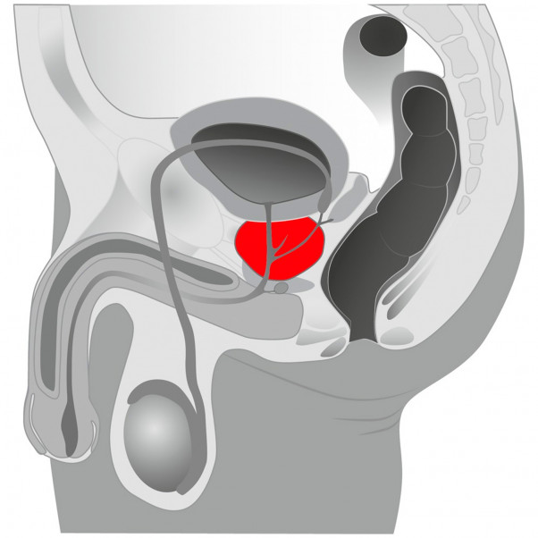 You2Toys Twister Prostatavibrator  6