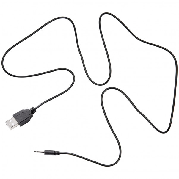 Sinful P1 USB-lader  2