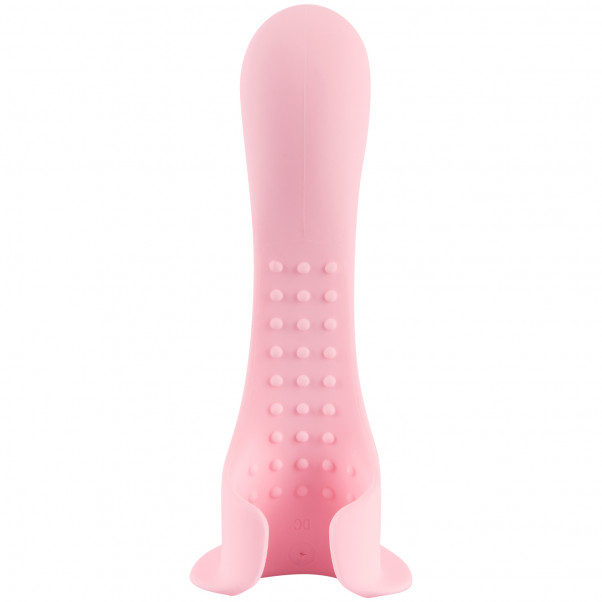Couple's Choice Parvibrator