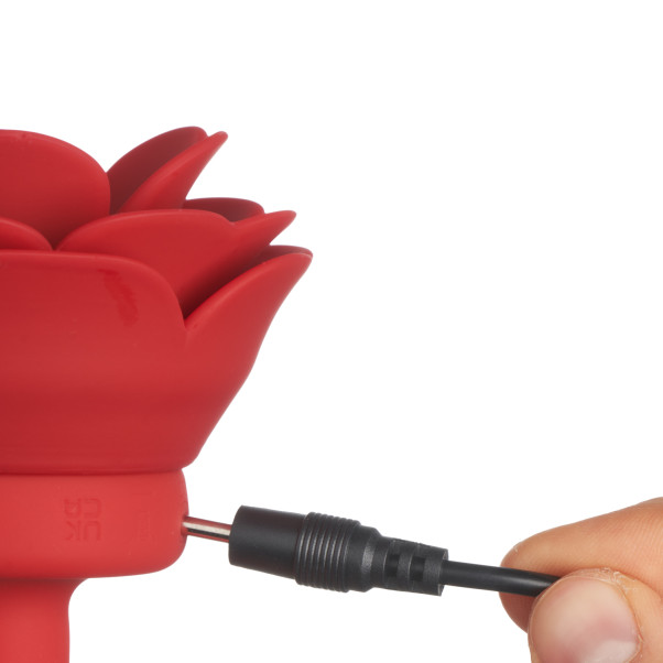 Booty Sparks Small Rose Vibrerende Analplugg Produktbilde med hånd 52