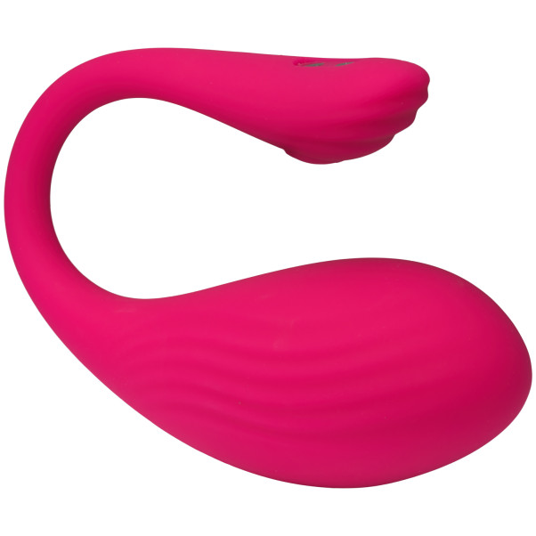 Tracy's Dog Fjernstyrt Vibratoregg Produktbilde 2