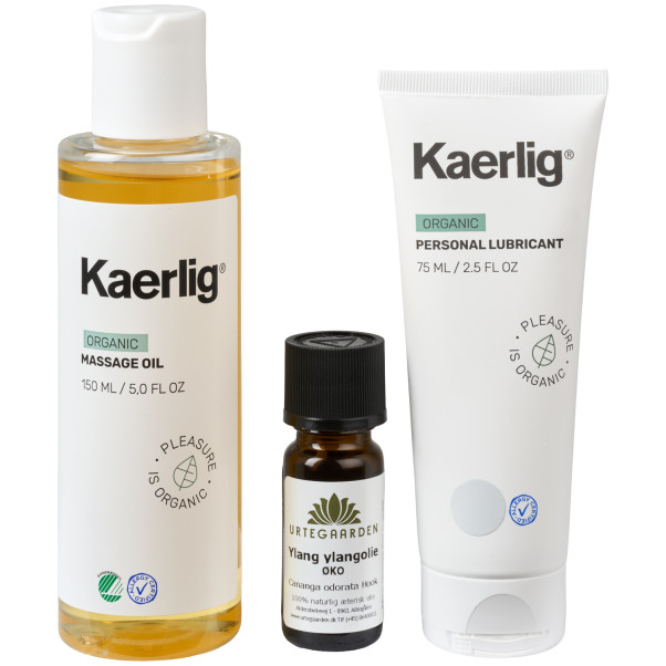 Sinful Tantra Box  20