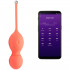 We-Vibe Bloom Vibrerende Bekkenbunnstrener bilde av emballasje 1