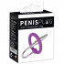 You2Toys Penis Plugg med Glansring