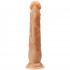 Willie City Realistisk Sugekoppdildo 23 cm  2