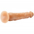 Willie City Realistisk Sugekoppdildo 23 cm  4