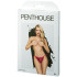 Penthouse Too Hot To Be Real Bordeaux Truse Emballasjebilde 90
