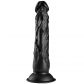 Willie City Realistisk Svart Sugekoppdildo 23 cm  2