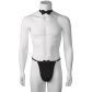 Sinful Chippendales Kostyme Produktbilde 1